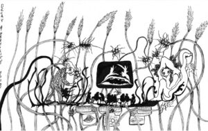 YN_DecayAndFertility_2019