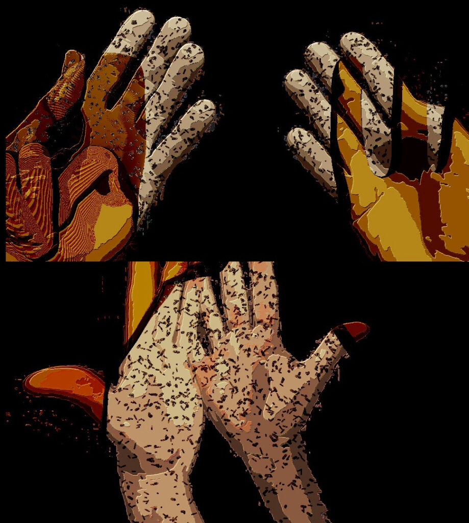 pic-LYM-Core-05-19-2023_22-01-23-0099