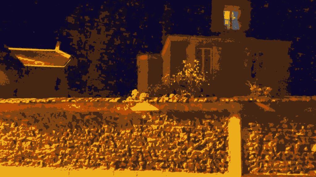vlcsnap-2024-11-20-10h53m07s165
