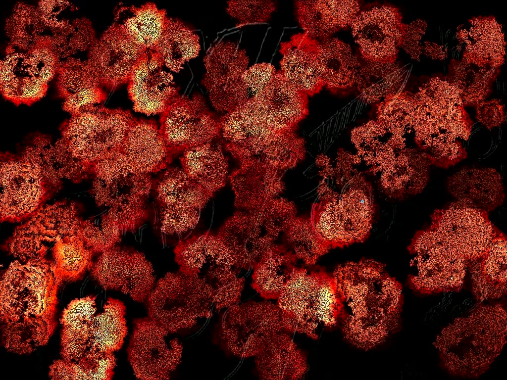 vlcsnap-2024-11-20-11h50m21s419